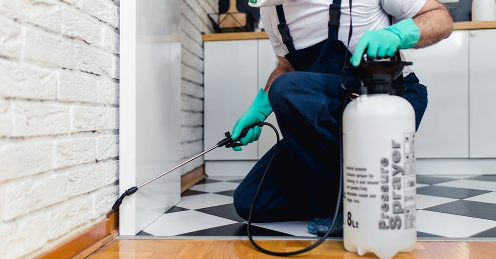 Up To 48% Off On At Bugxen Pest Control And Cleaning Services Llc Dubai other Shop Online at Dubai Trades 2