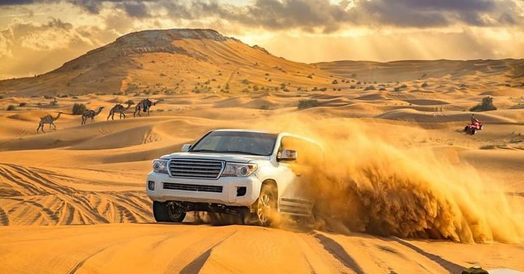 Up To 61% Off On Atv / Quad (Drive / Experience) At Desert Lion Tourism Dubai package Shop Online at Dubai Trades 3
