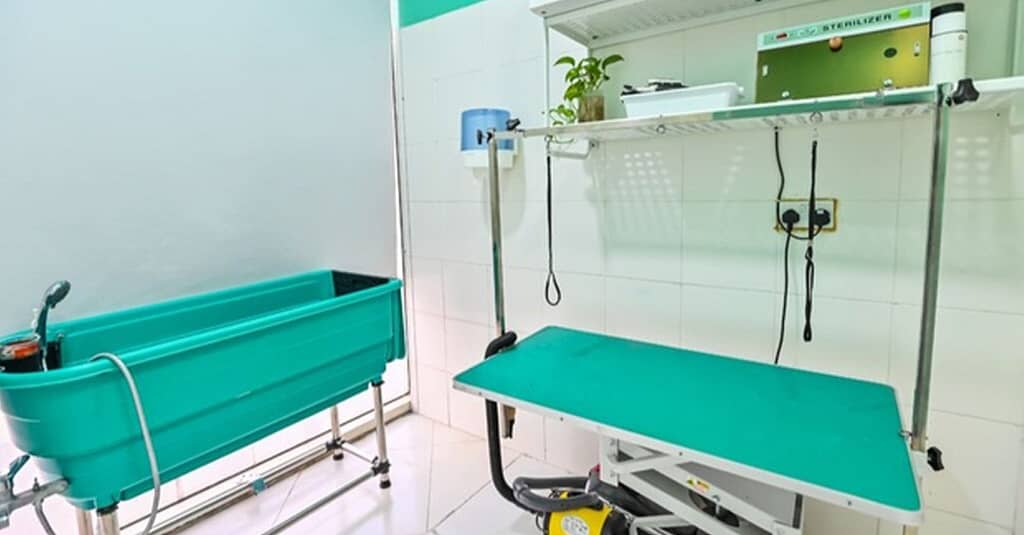 Veterinary Examination At Pet Connection Veterinary Clinic Dubai other Shop Online at Dubai Trades 13