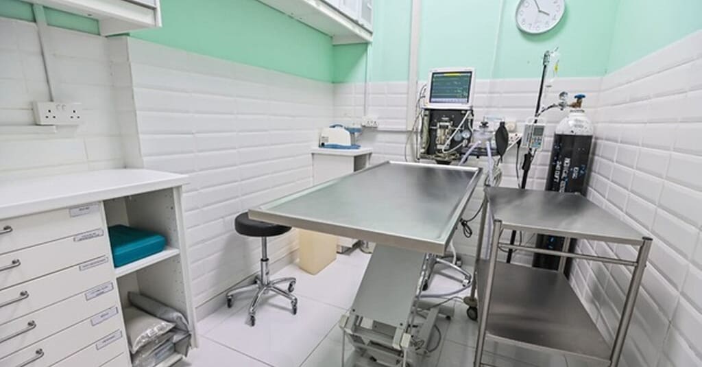 Veterinary Examination At Pet Connection Veterinary Clinic Dubai other Shop Online at Dubai Trades 14