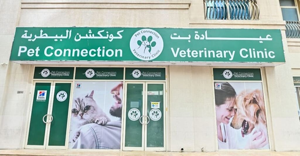 Veterinary Examination At Pet Connection Veterinary Clinic Dubai other Shop Online at Dubai Trades 18