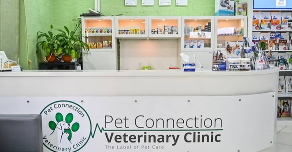 Veterinary Examination At Pet Connection Veterinary Clinic Dubai other Shop Online at Dubai Trades 4