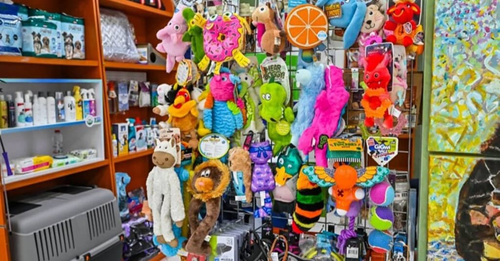 Veterinary Examination At Pet Connection Veterinary Clinic Dubai other Shop Online at Dubai Trades 5