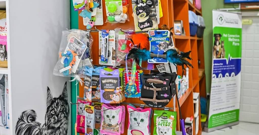 Veterinary Examination At Pet Connection Veterinary Clinic Dubai other Shop Online at Dubai Trades 6