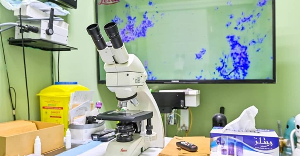 Veterinary Examination At Pet Connection Veterinary Clinic Dubai other Shop Online at Dubai Trades 9
