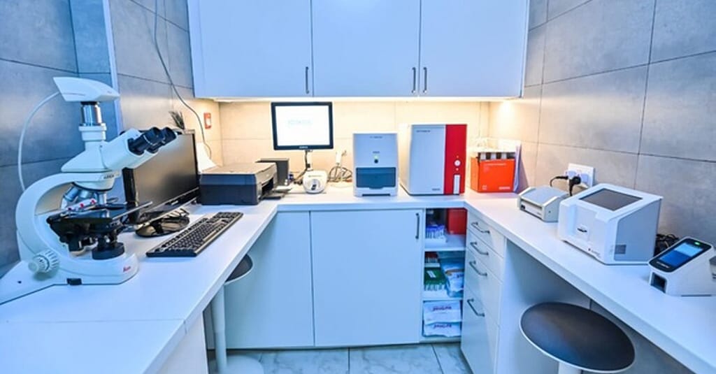 Veterinary Examination At Pet Connection Veterinary Clinic Dubai other Shop Online at Dubai Trades 10