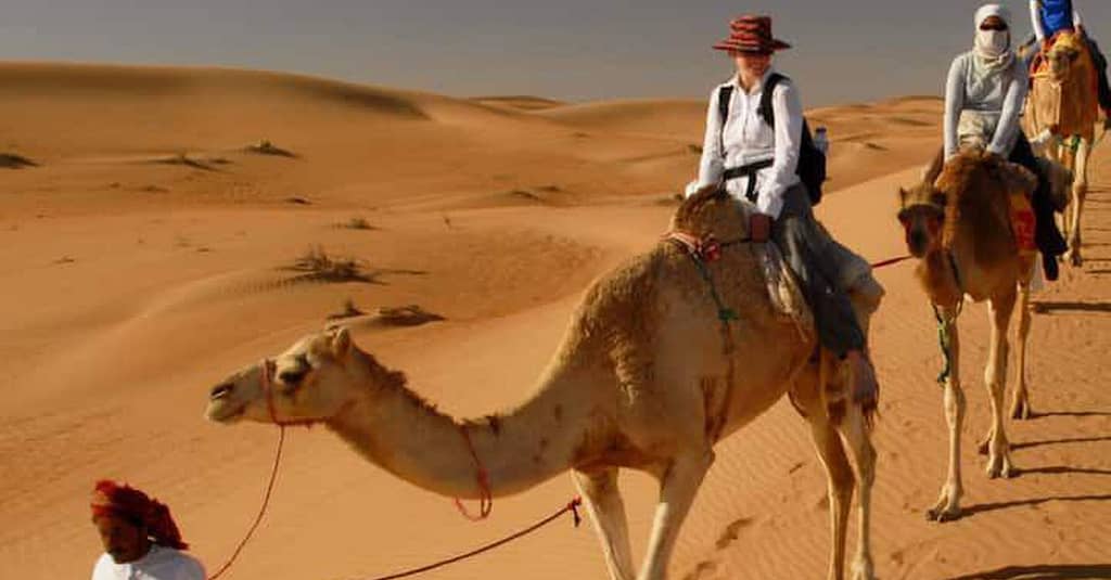 Vip Red Dune Desert Safari Or Premium Desert Safari For 1, 2, Or 4 Sharjah & N. Emirates package Shop Online at Dubai Trades 11