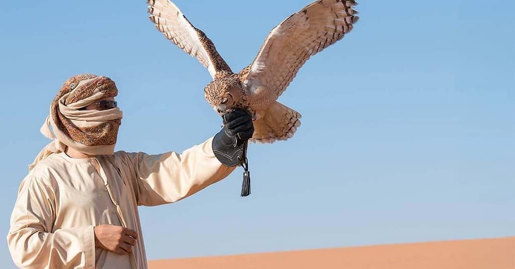 Vip Red Dune Desert Safari Or Premium Desert Safari For 1, 2, Or 4 Sharjah & N. Emirates package Shop Online at Dubai Trades 14