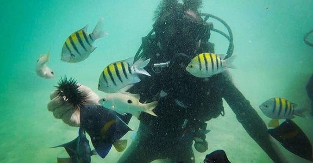 Vip Scuba Diving Tour Dubai activities Shop Online at Dubai Trades 4