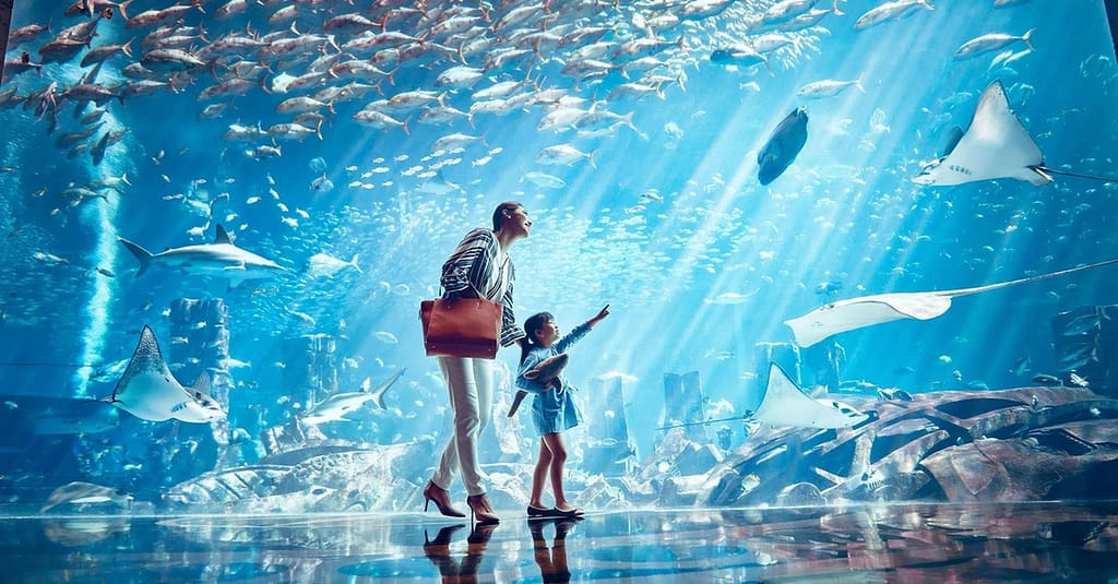 Visit Dubai Frame W/ Lost Chamber Aquarium, Dubai Aquarium & Img World Dubai package Shop Online at Dubai Trades 3