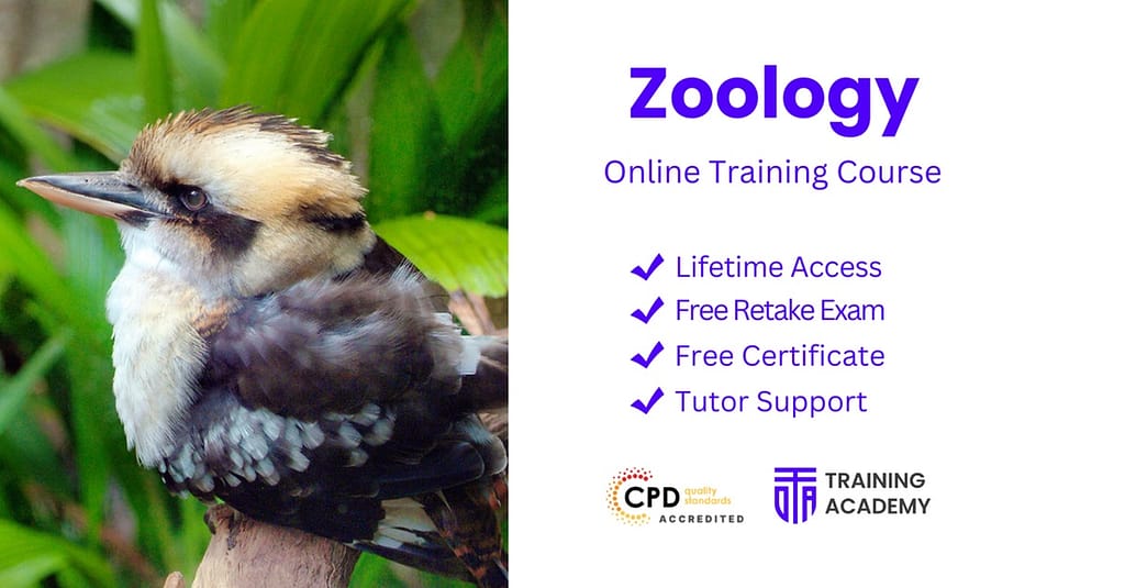 Zoo / Animal Park Sharjah & N. Emirates other Shop Online at Dubai Trades 2