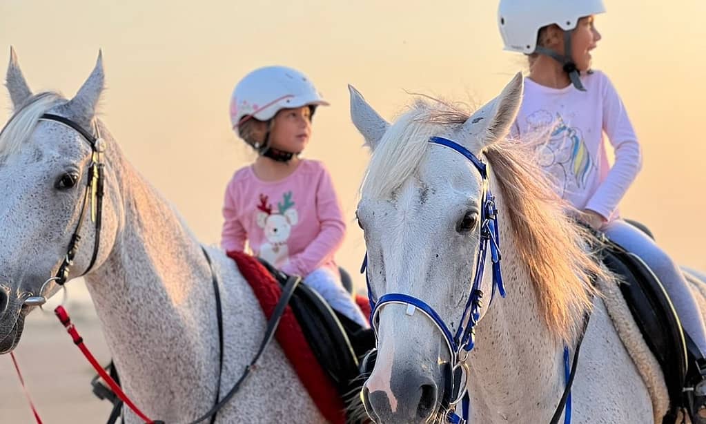 Pony Ride, Desert Hack, Desert Tail Ride At Jsr Stables Dubai activities Shop Online at Dubai Trades 5