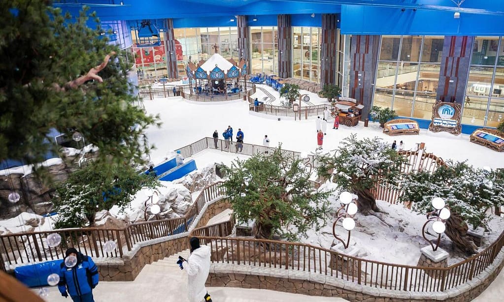 Abu Dhabi Snow Premium Pass For One At Kyka Group National Deal other Shop Online at Dubai Trades 6