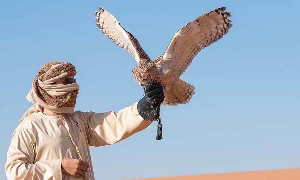 Desert Safari W/ Centralized Van W/ Optional 30-Min Quad Bike, & More Sharjah & N. Emirates package Shop Online at Dubai Trades 13