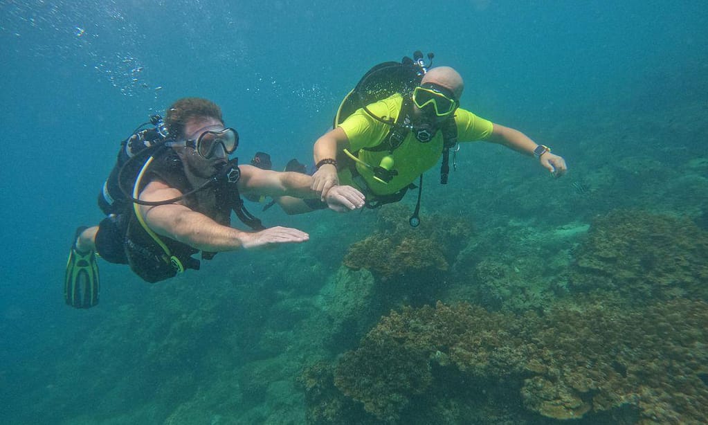 Embark On Adventure: Try Dive, Snorkeling Trip And Boat Trip Dubai activities Shop Online at Dubai Trades 10