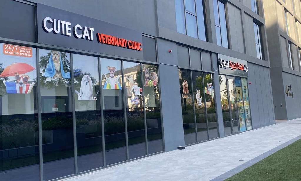 Get Specialized Vet Care For Your Pet At Cute Cat Veterinary Clinic Sharjah & N. Emirates other Shop Online at Dubai Trades 3
