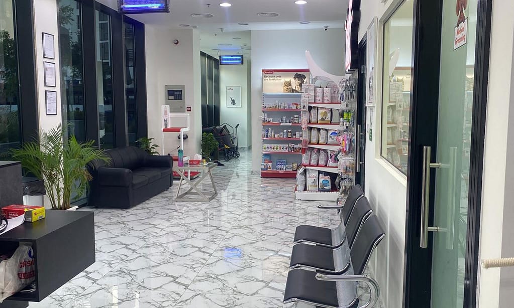 Get Specialized Vet Care For Your Pet At Cute Cat Veterinary Clinic Sharjah & N. Emirates other Shop Online at Dubai Trades 4