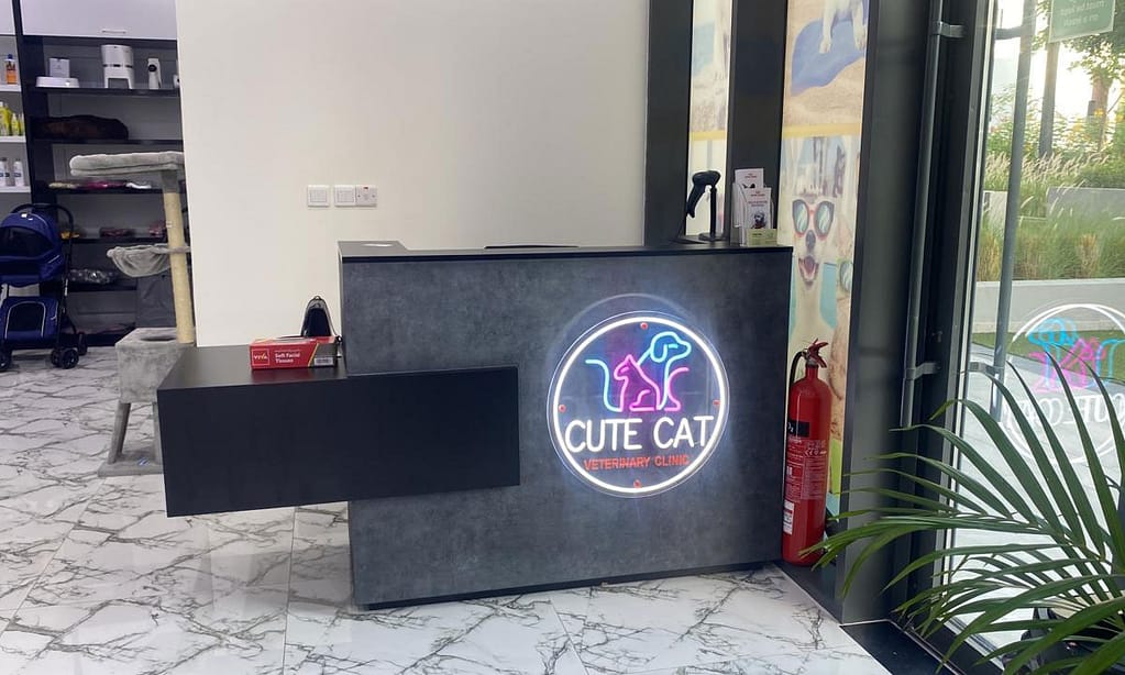 Get Specialized Vet Care For Your Pet At Cute Cat Veterinary Clinic Sharjah & N. Emirates other Shop Online at Dubai Trades 6