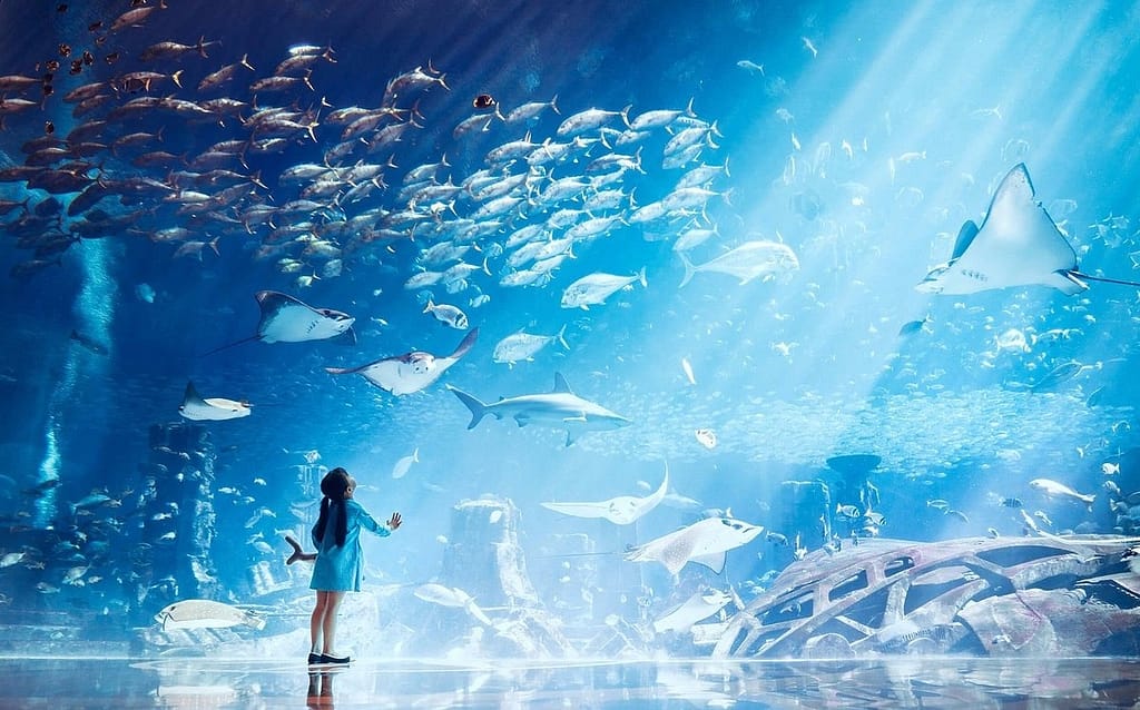 Aya Universe With Combo Tickets Dubai package Shop Online at Dubai Trades 9