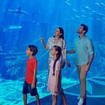 Dubai Atlantis: Aquaventure Waterpark + Shark Safari or Snorkel Experience at Aquaventure Waterpark, Dubai, United Arab Emirates - Image 2