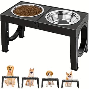 1 Set Elevated Dog Bowls, 4 Adjustable Dog Raised Bowls Rack With 2 Stainless Steel Bowls, No Slip Dog Feeder For Medium Large Breed Dogs Bowls & Dishes Shop Online at Dubai Trades