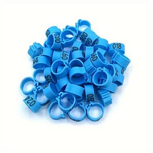 100pcs/set Pet Foot Supplies, Foot , Coding , Plastic Clasp Foot , Identification Male And Female Birdcage Accessories Shop Online at Dubai Trades