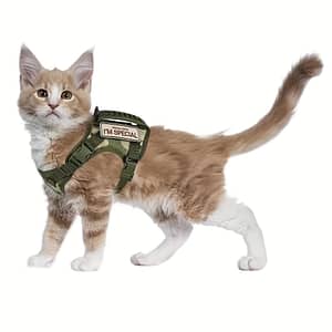 1pc Escape-proof Tactical Cat Harness For Outdoor Safe Walking, No-pull Service Cat Vest Soft Mesh Adjustable Pet Vest Harness With Control Handle Cats Shop Online at Dubai Trades