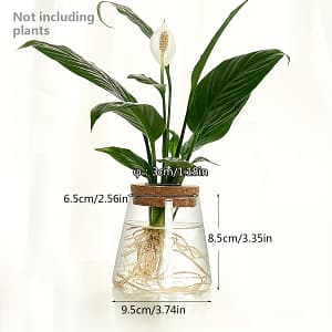 1pc, Glass Planter Propagation Station Vase Rack Tabletop Hydroponic Plants Office Home Decoration Gardening & Lawn Care Shop Online at Dubai Trades