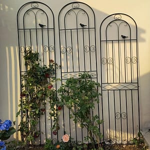 1pc, Iron Wire For Lotus Climbing Rattan Rack Rose Planting Garden Fence Outdoor Flower Rack Support Rod Iron Plant Climbing Rack Gardening & Lawn Care Shop Online at Dubai Trades