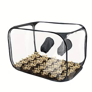 1pc Pvc Mushroom Growing Box, Portable Foldable Pop Up Mushroom Grow Tent, Mushroom Growing Container Gardening & Lawn Care Shop Online at Dubai Trades