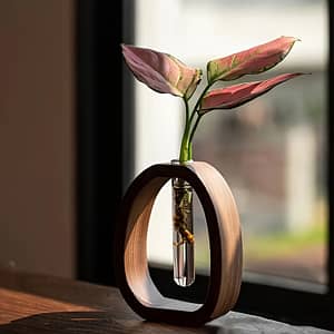 1pc Walnut Solid Wood Decoration Decoration Decoration Decoration Decoration Simple Glass Plant Flower Arrangement Mini Aquatic Vase Home & Kitchen Shop Online at Dubai Trades