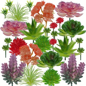 27pcs Mini Diy Succulent Combination, Room Display Furniture Interior Decoration Bonsai Green Plant Spring Autumn Thanksgiving Other (Outdoor Holiday Decorations) Shop Online at Dubai Trades 2