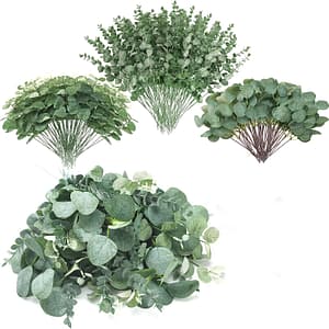 30pcs 3 Mixes Of Eucalyptus Leaves Stems Loose Artificial Silvery Leaves Dry Eucalyptus Bunch Artificial Spray Wedding Vase, Zekonan Artificial Plants & Flowers Shop Online at Dubai Trades