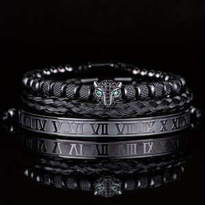 3pcs/set Classical Handmade Braided Bracelet, Hip Hop Men Leopard Head Bracelet, Roman Numeral Bracelet Stainless Steel Jewelry Bracelets Shop Online at Dubai Trades