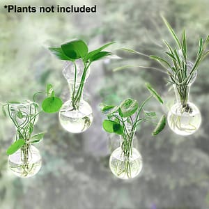 4pcs Window Plant Propagation Stations, Bulb Vase With Suction Cups – No Nails, Glass Plant Hanging Terrarium, Glass Hydroponics Plant Containers, Office Home Decor Home & Kitchen Shop Online at Dubai Trades