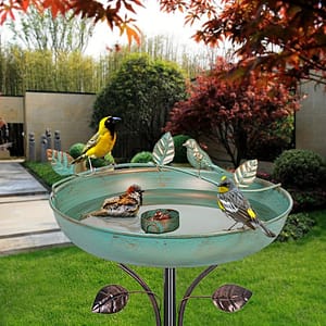 5 Bath With Metal , Garden Bath For Outdoors Tall Bath Iron Freestanding & Lightweight Bath Backyard Birding & Wildlife Shop Online at Dubai Trades 2