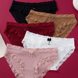 5-person Women’s Jacquard Solid Color Lace Triangle Pants Clothing Shop Online at Dubai Trades