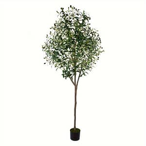 6ft Olive Tree – Ideal For Decor, Outdoor Gardens, And Special Occasions – , Low Maintenance Artificial Plant Artificial Plants & Flowers Shop Online at Dubai Trades