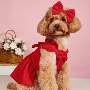 Adorable Red Corduroy Bowknot Dress For Small To Medium Dogs And Cats – Lightweight Pet Outfit With Matching Hair Clip, Weddings, Christmas, And , Dog Dress Apparel & Accessories Shop Online at Dubai Trades