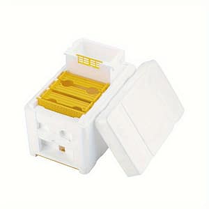 Benefitbee Mini Beekeeping Nuc Box Set – Foam Queen Mating & Breeding Hive With Frame And Excluder, Ideal For Small-scale Beekeepers, Benefitbee Beekeeping Supplies Shop Online at Dubai Trades