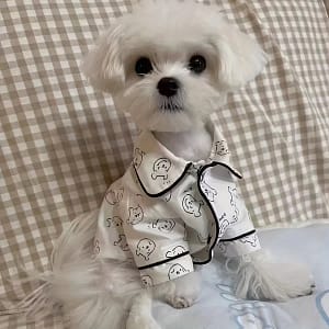 Breathable Pet For Small , /summer , Pattern, Home Apparel For Breeds, Bichon, Maltese, Teddy Apparel & Accessories Shop Online at Dubai Trades