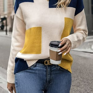 Color Crew Neck Pullover Sweater, Casual Long Sleeve Knitted Sweater For Fall & Spring, Women’s Clothing Clothing Shop Online at Dubai Trades