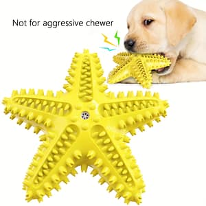 Durable And Interactive Pet Dog Toy For Molar Play – Tough And Squeaky Starfish Chew Toy Dogs Shop Online at Dubai Trades