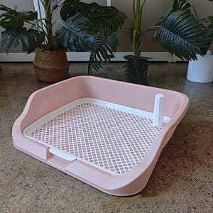Extra-large High Fence Dog Potty With Easy-access Mesh Tray – Vibrant Colors, Ideal For Small To Medium Breeds Dogs Shop Online at Dubai Trades