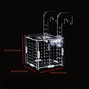Fish Tank Isolation Box, Small Fish Incubator Aquarium Fish Breeding Boxes Divider Hatching Boxes Breeding Tanks Shop Online at Dubai Trades