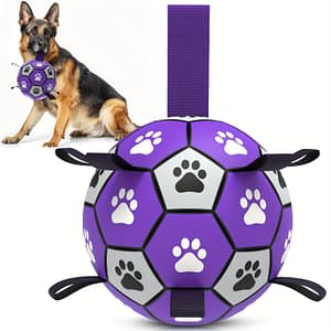 Interactive Dog Soccer Ball Toy With Paw , Durable Rubber With Straps For – Ideal For Small To Large Breeds, Indoor & Outdoor Play, Purple And Black, Dog Toy Balls Shop Online at Dubai Trades