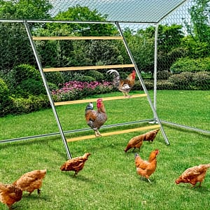 Metal Chicken Perch Roosting Bars For Chicken Coop And Run, Poultry Farm Toys For Chickens, Coop Accessories For Houses & Habitats Shop Online at Dubai Trades