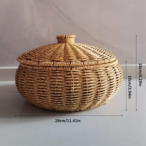 Rustic With Lid – Multipurpose Plastic Dust- Shelf Organizer For Fruits, Snacks, Jewelry, – Covered Storage Box For Bedroom And Living , Shelf Baskets Baskets, Bins & Containers Shop Online at Dubai Trades
