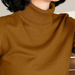 Solid Turtle Neck Slim Pullover Sweater, Casual Long Sleeve Sweater For Fall & Winter, Women’s Clothing Clothing Shop Online at Dubai Trades