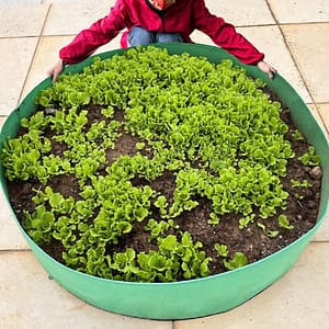 Plant Grow Bags, Round Fabric Raised Garden Beds Planter Pots, Large Breathe Cloth Planting Bed Container For Potato, Carrot, Onion, Gardening And Outdoor Gardening & Lawn Care Shop Online at Dubai Trades
